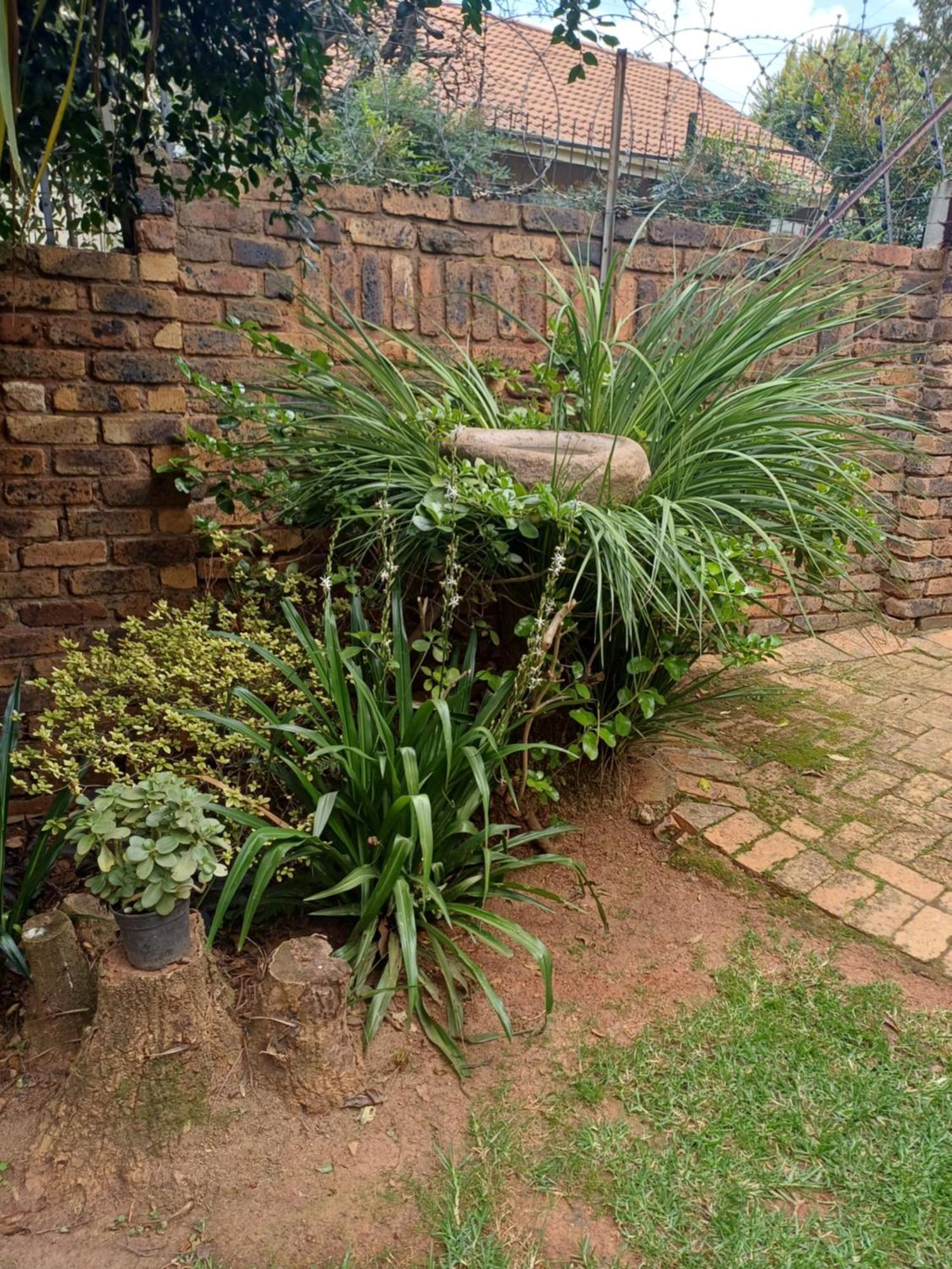 Green Scape Flatlet بريتوريا المظهر الخارجي الصورة