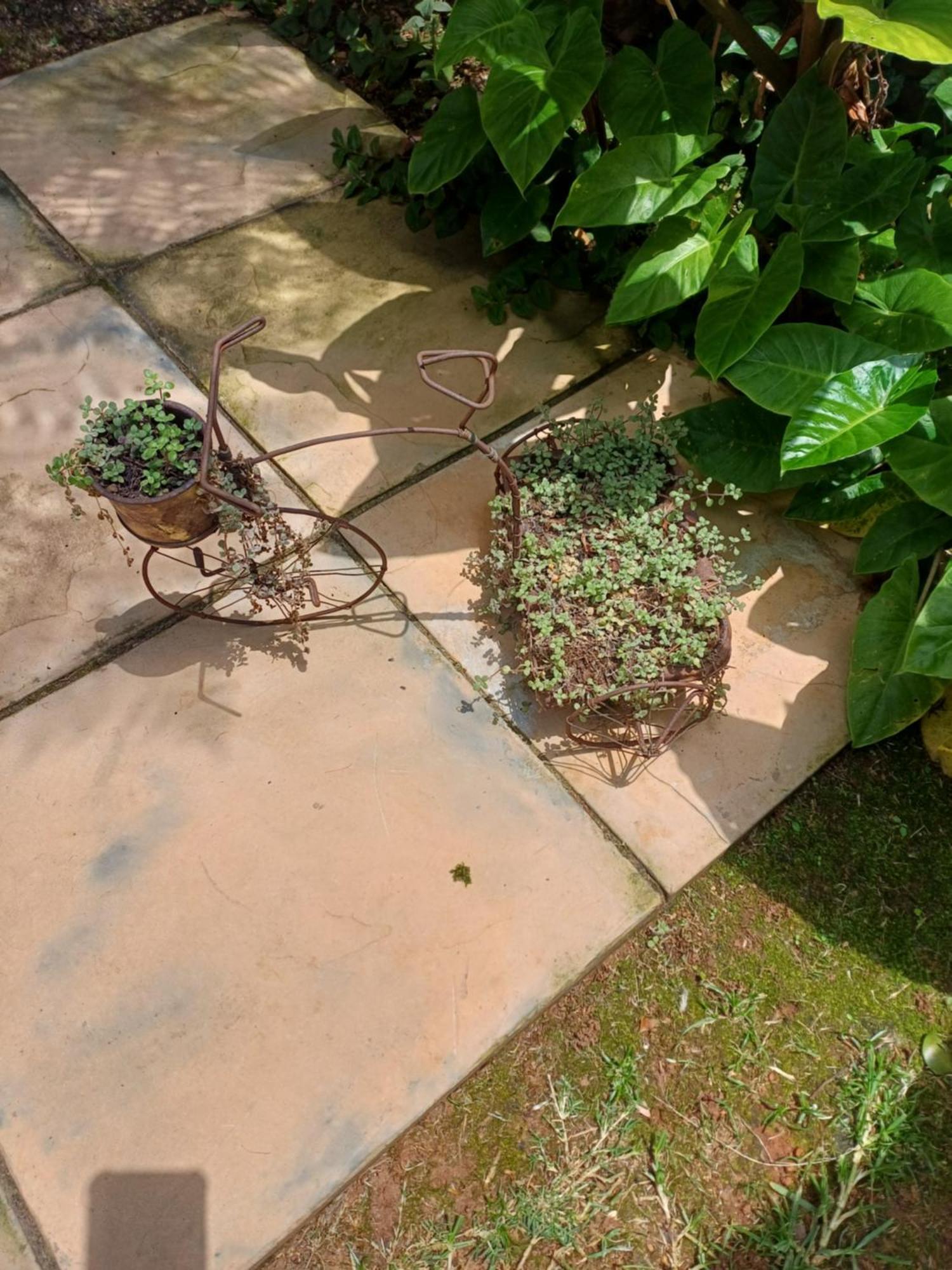 Green Scape Flatlet بريتوريا المظهر الخارجي الصورة